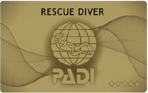 RED ダイビングライセンス
