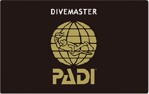 OWD ダイビングライセンス