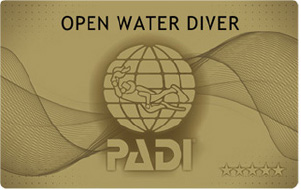 OWD ダイビングライセンス